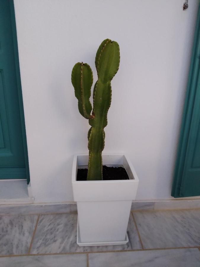 Celeste * Ornos (Mykonos)